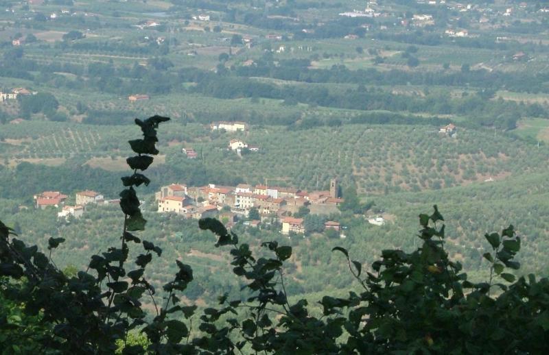 Podere Calistri Larciano Dış mekan fotoğraf
